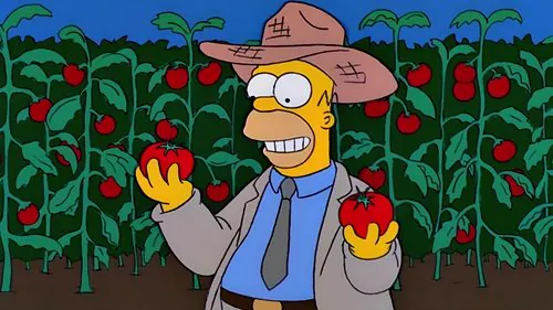 Homero granjero