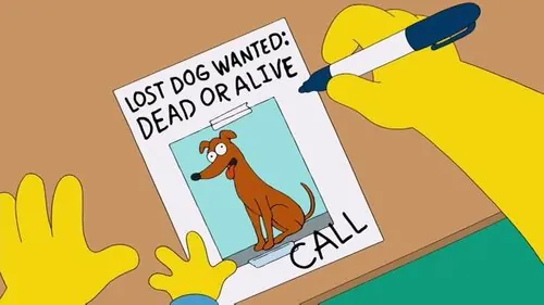 A mi perro, con amor